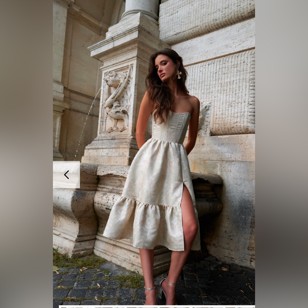 V. Chapman The Virginia Dress in Taupe Windsor brocade